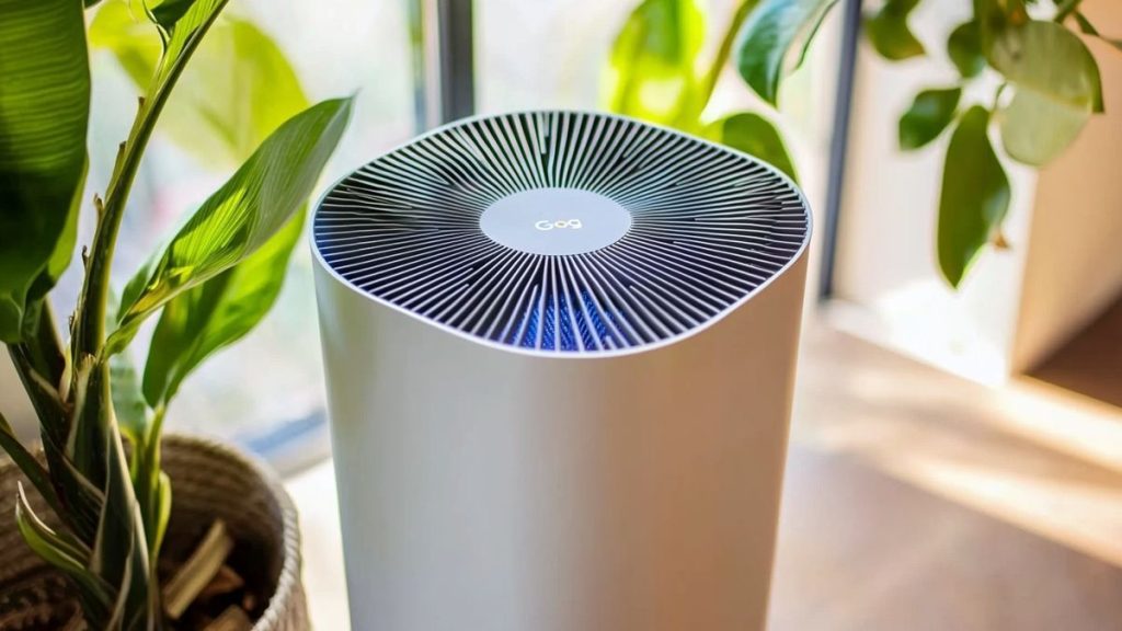 Comment préparer votre maison aux allergies printanières