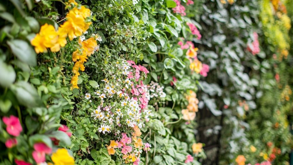 Les meilleures astuces pour optimiser un petit jardin au printemps
