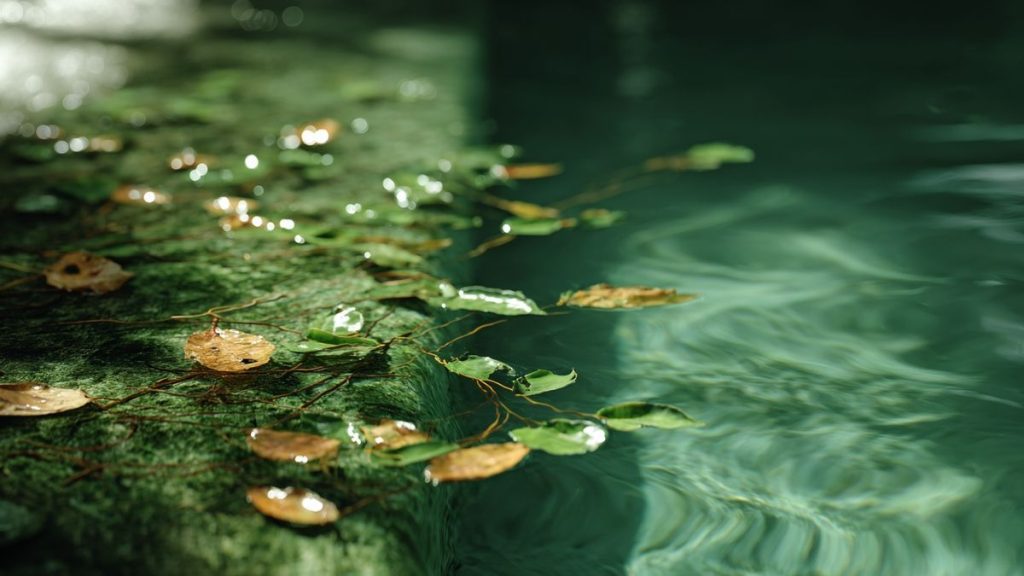 Eau de piscine verte : remèdes maison efficaces